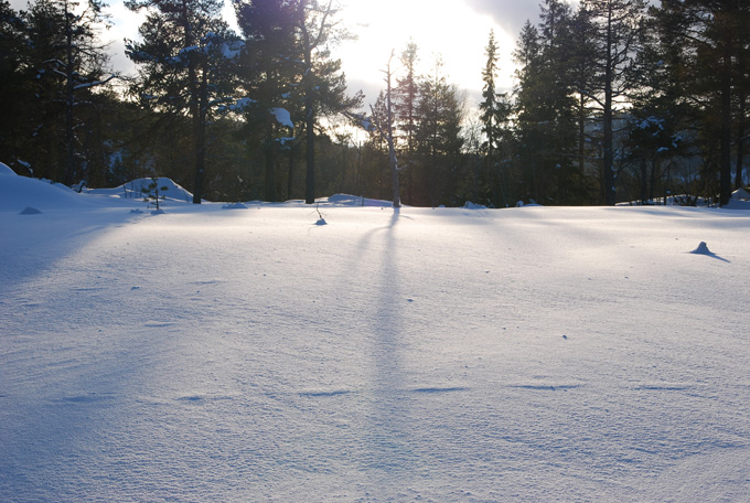 Naturens treningsstudio