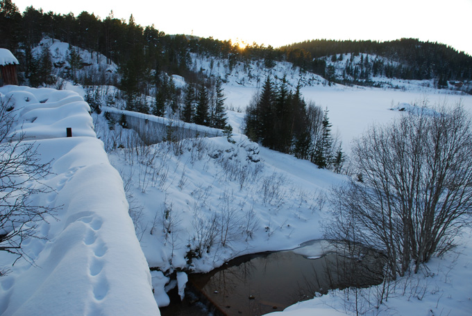 Naturens treningsstudio
