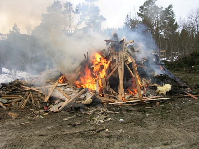 DSCN5195