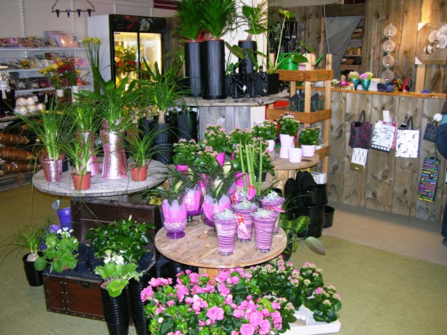 Du_finner_ogs___mange_vakre_blomster_og_pyntekrukker