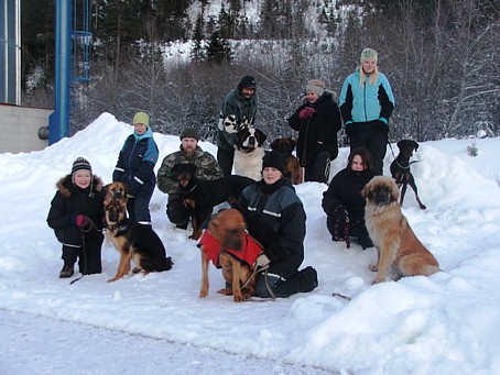 Tor Hansen og Charm, Eva Hansen og Mira, Eva Knudsen og Shanti, Kristin Løkkbakk med Tor, Arild Gravrok og Nikki, Heidi Hansen og Celina, Hege Berger og Fiffi, Heidi  Semhagen og Dali.