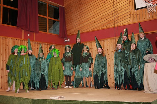 Den levende skogen på Å skole. Foto: Ingrid Mjøen