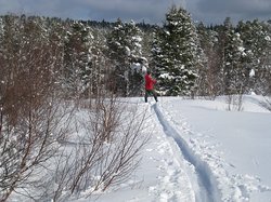 Sæterdalen i mars 2008. Foto: Heidi Mjøen