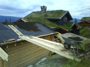Torvtak