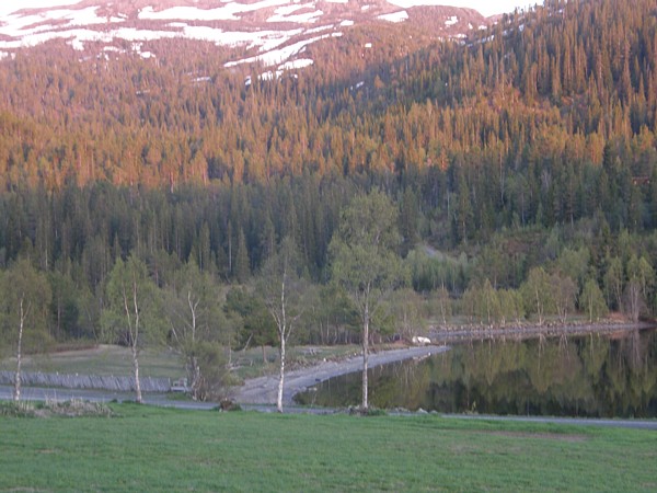 Leirområde på Frilsjøen.