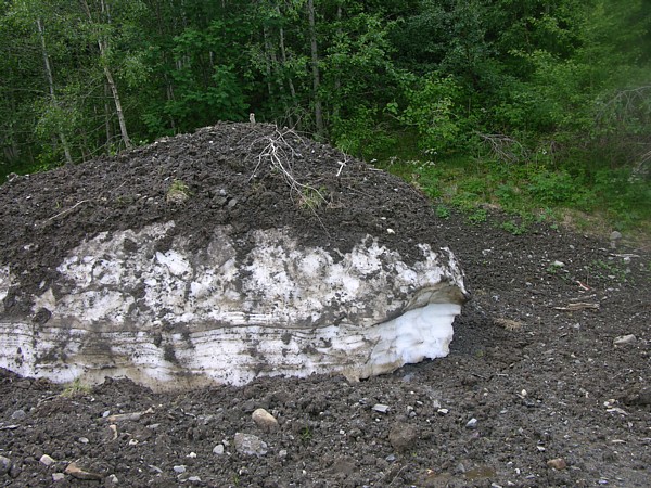 Snøhaug i juni. Foto: Aud Inger Kalseth