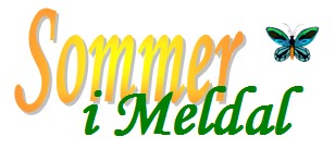 sommer_meldal.jpg