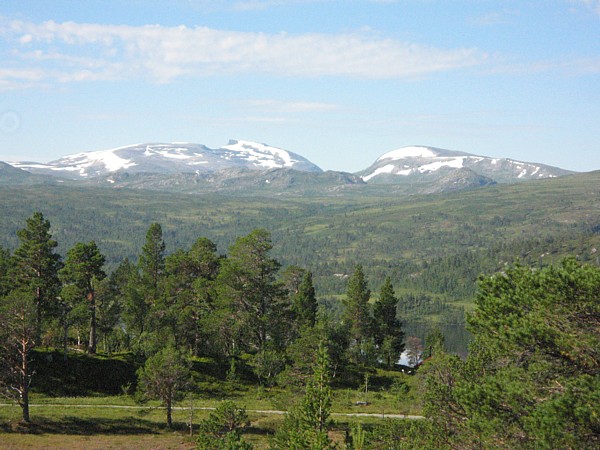Fra Raudfjellet mot Trollhetta og Trollheimen. Foto: Wenche Dahl Rian