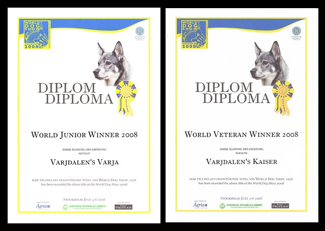 diplomer.jpg