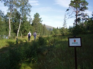 i Hjortens rike. Foto: Olav S Kvaale