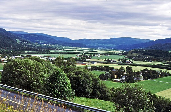 Bergslia