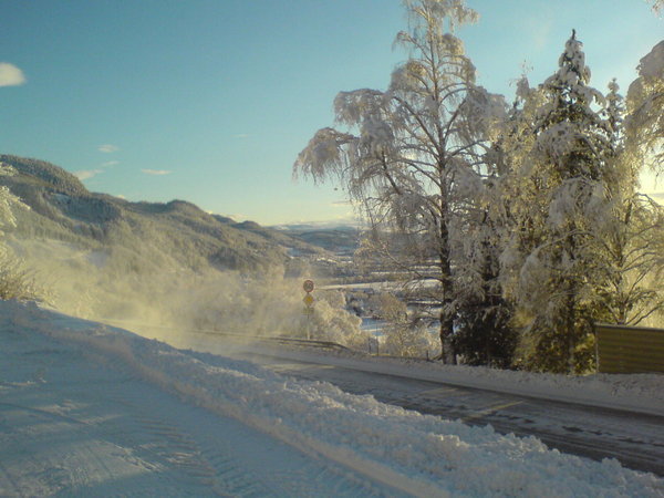 Bergslia