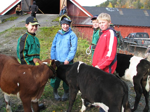 Storåsgutter. Foto: Ragnhild Borchsenius