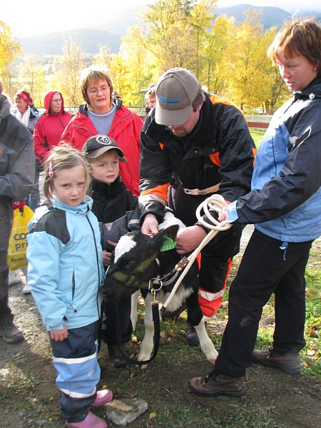 Yngste deltaker. Foto: Ragnhild Borchsenius