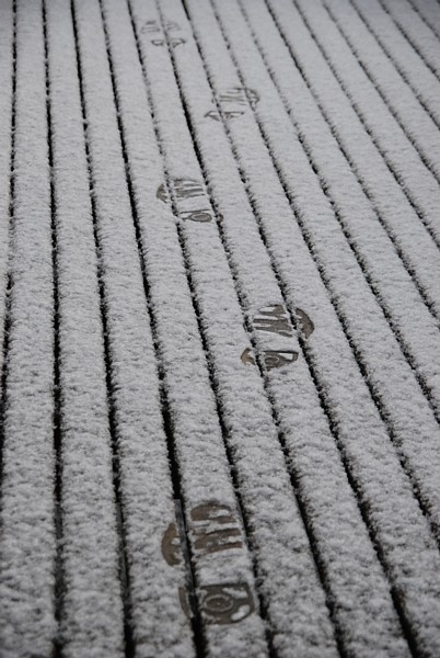 Snø