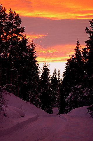Foto: Ove Smedplass