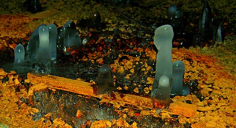 Foto: Ove Smedplass
