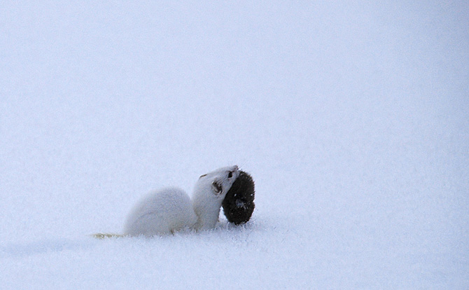 Foto: Håvard Berge