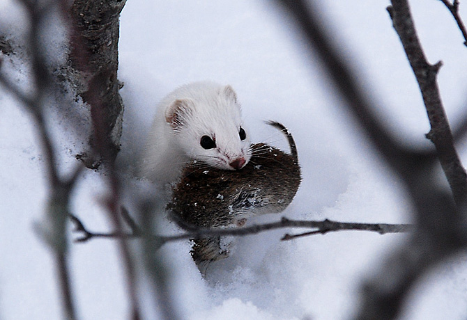 Foto: Håvard Berge