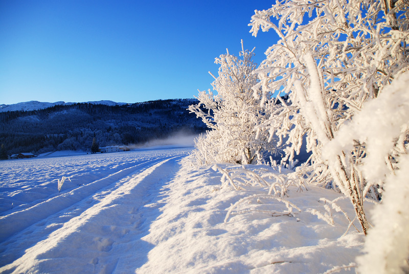 Foto: Håvard Berge