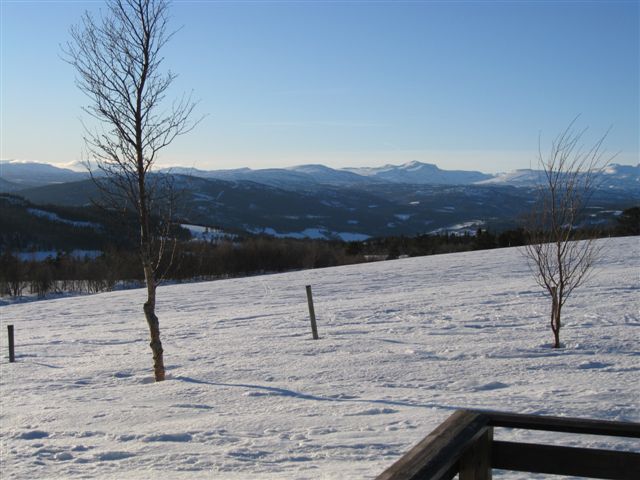 Foto: EF