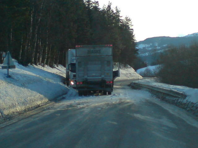 bergslia.jpg