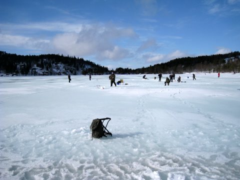 Isfiskekonkurranse