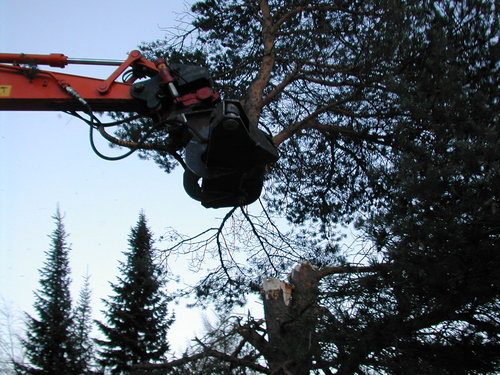 Nykonstruksjon_av_ryddeklo_Desember_2007._076_1