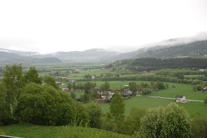Grønt, grønt, grønt…