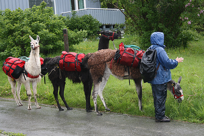 Pilgrim i Meldal