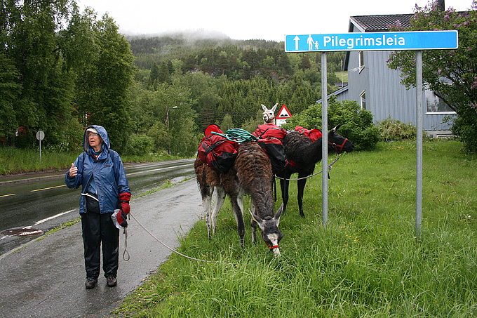 Pilgrim i Meldal