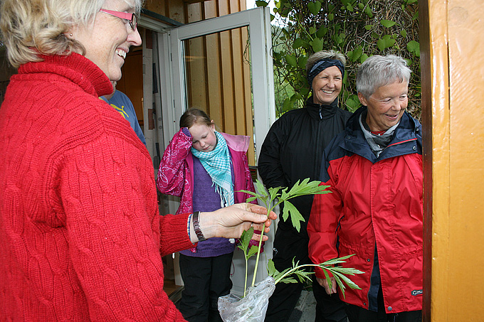 Hagelagets plantebytte 3 juni