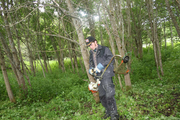 Paintballbane på Å