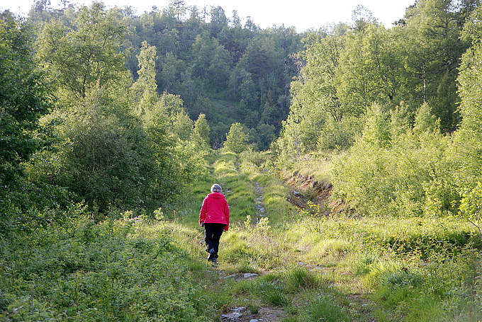 Trimtur 23. juni til Garbergfjellet 