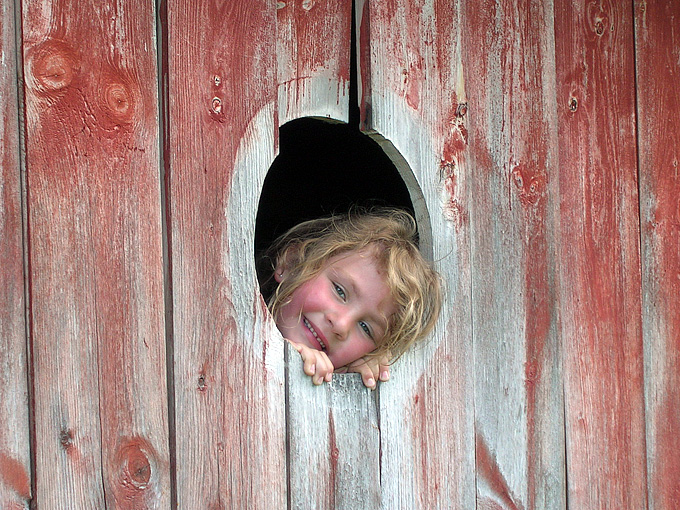 Sommerbilder
