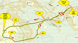 Jøngfjellmarsen