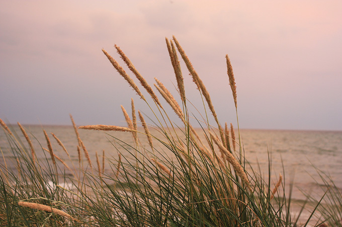 Sommerglimt 2009
