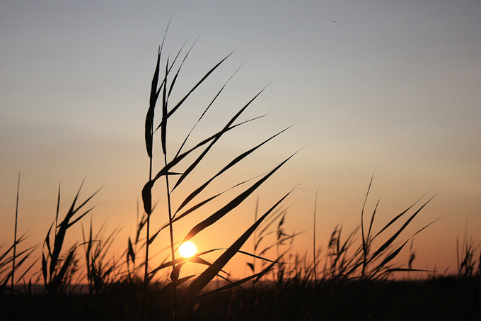 Sommerglimt 2009