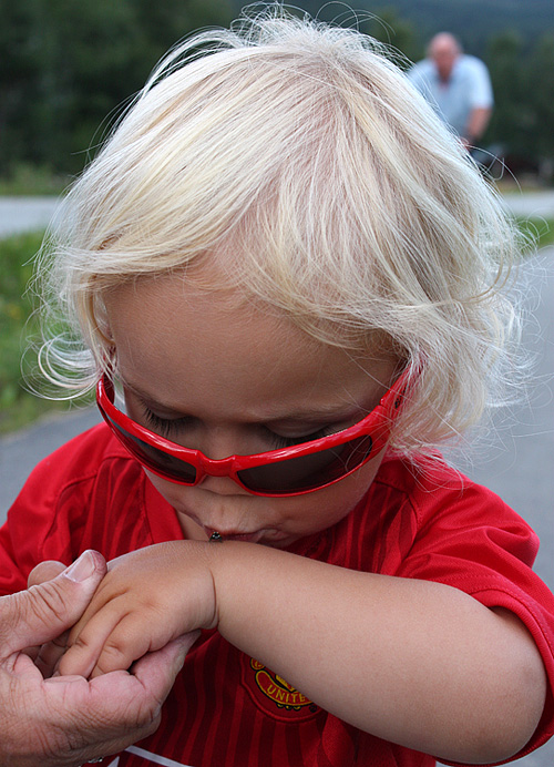 Sommerglimt 2009