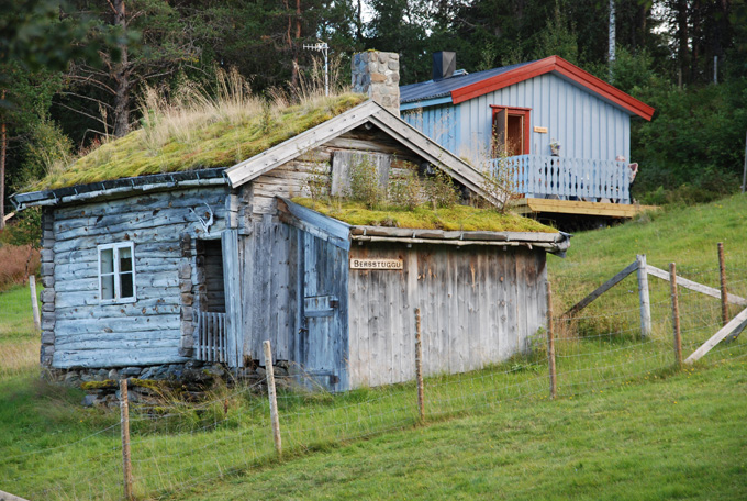 Trimtur Nyplassen-Ressætrin