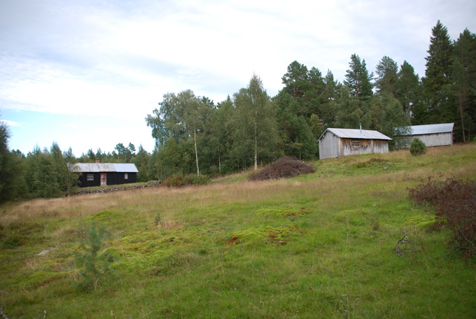 Trimtur Nyplassen-Ressætrin