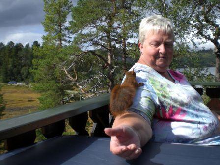 En liten gjest på besøk