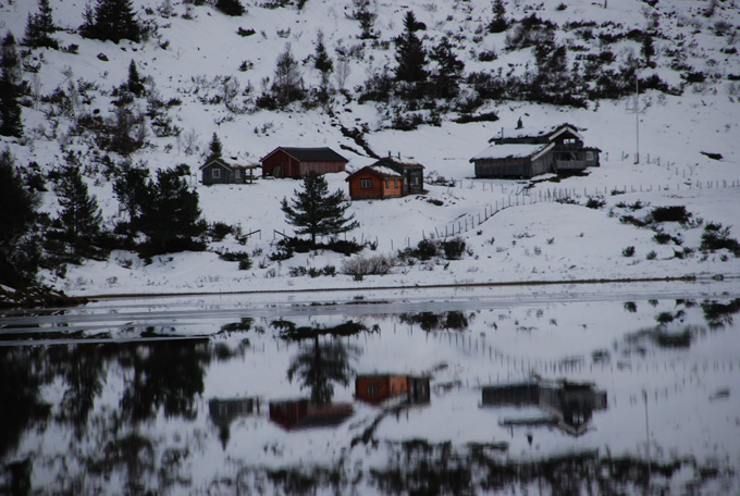 Kommunekamp med Svaneopplevelse