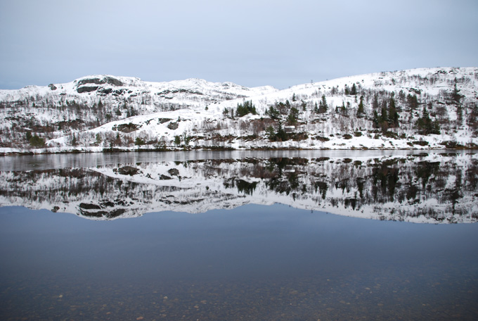 Kommunekamp med Svaneopplevelse