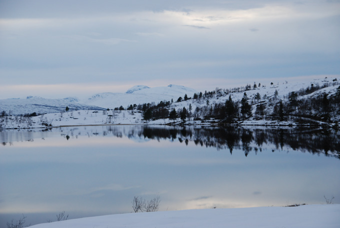 Kommunekamp med Svaneopplevelse