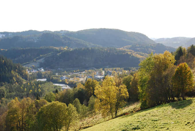 Poengsanking i Kommunekampen