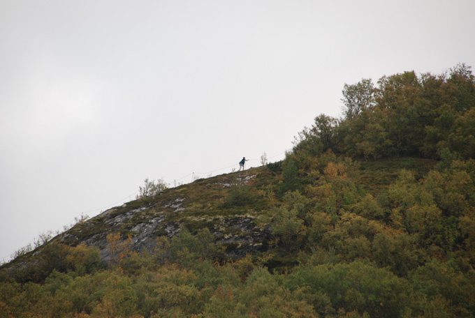 Kommunekamp