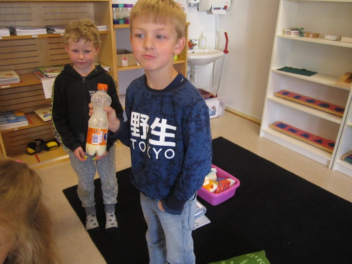IMG 1993