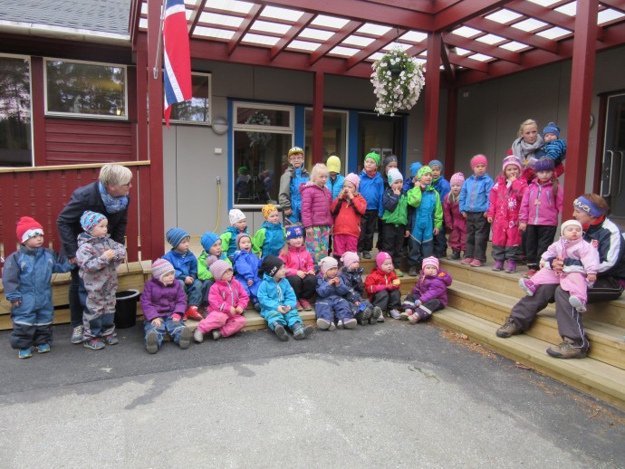 Grønt flagg