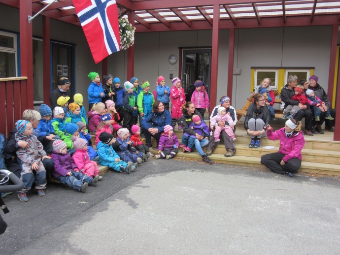 Grønt flagg1